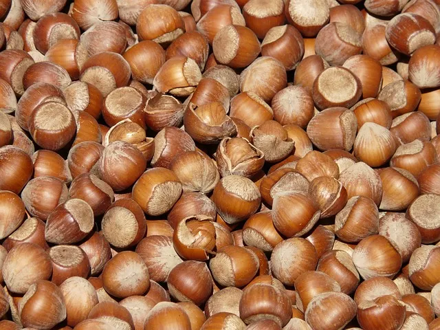 Türk fındığı Çin