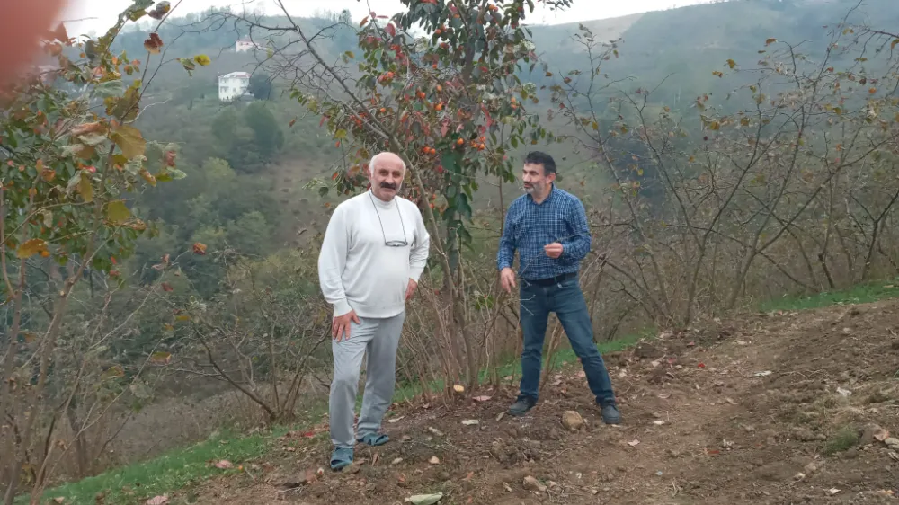 ZİRAAT ODASI FINDIK ÜRETİCİLERİNİ UYARIYOR