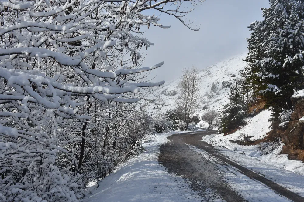 Giresun
