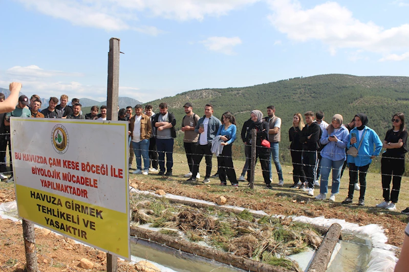 OMÜ Vezirköprü MYO Ormancılık Bölümü öğrencilerine saha eğitimi verildi