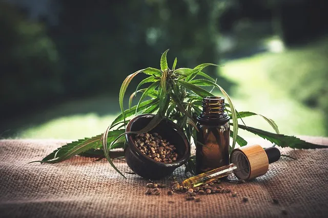 THCA Nedir? Kenevir Bitkisinin Gizemli Bileşeni