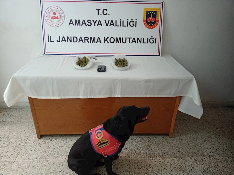 Amasya