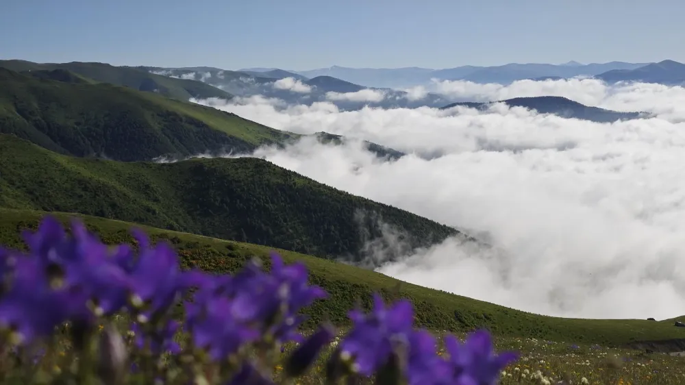 Trabzon