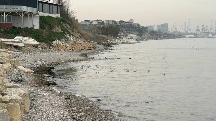 KİRLİ DENİZ VE HAVUZ SULARI KULAK SAĞLIĞINIZI TEHDİT EDİYOR