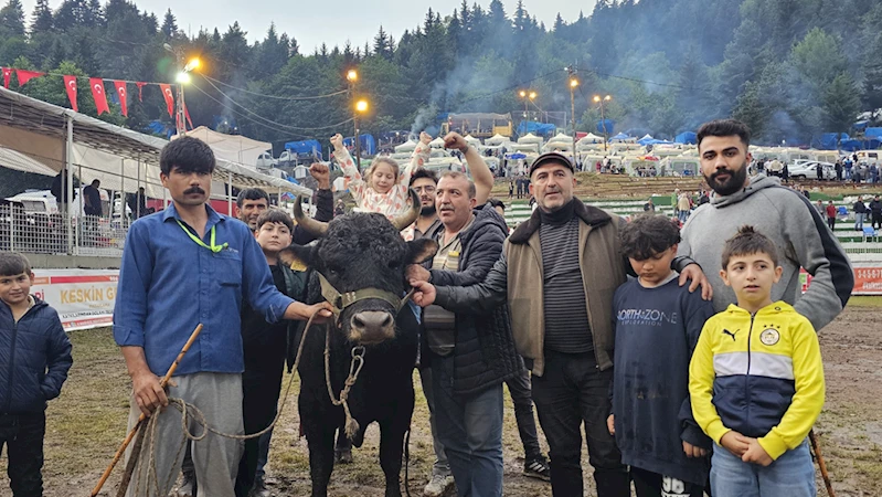 Artvin
