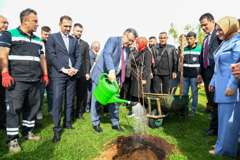 KAYBOLAN MEYVELER YENİDEN TOPRAKLA BULUŞUYOR