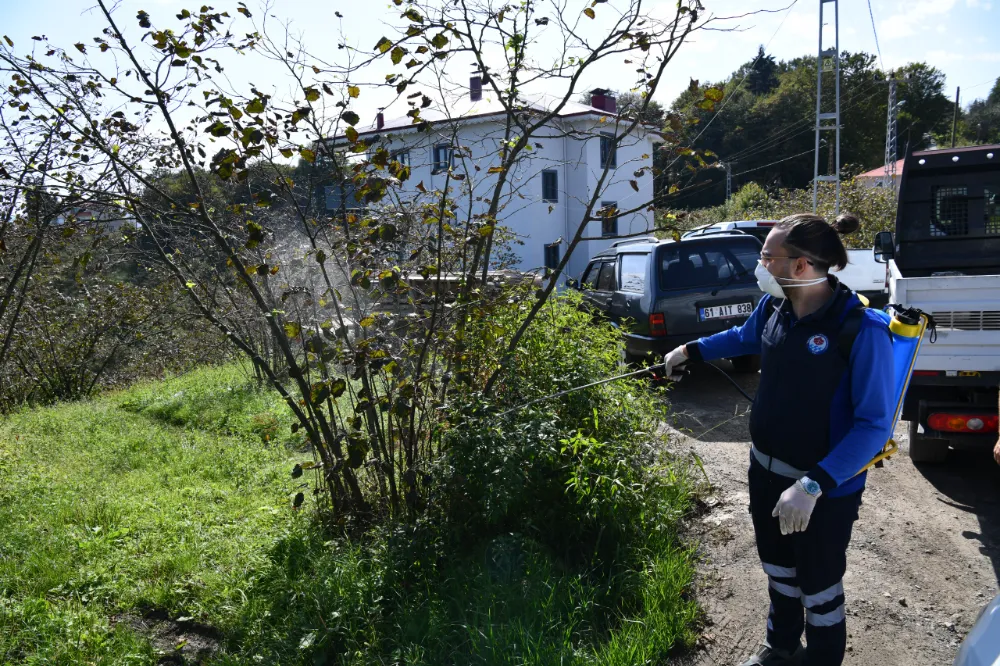 TRABZON’DA TARIM ZARARLISINA KARŞI YOĞUN İLAÇLAMA