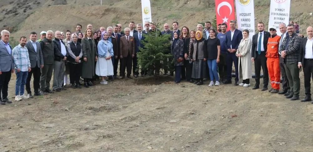 AK PARTİ ÖĞRETMENLER İÇİN FİDAN DİKTİ