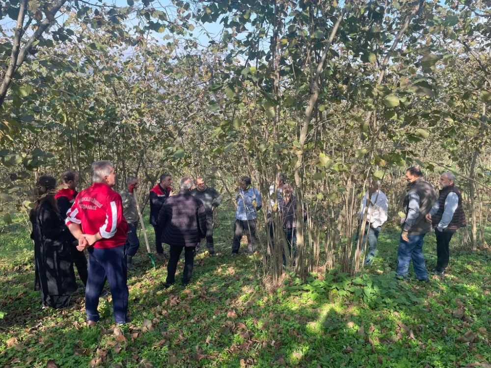 FINDIKTA UYGULAMALI EĞİTİM