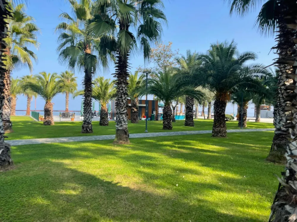 AKÇAABAT’TA SONBAHAR HUZURU