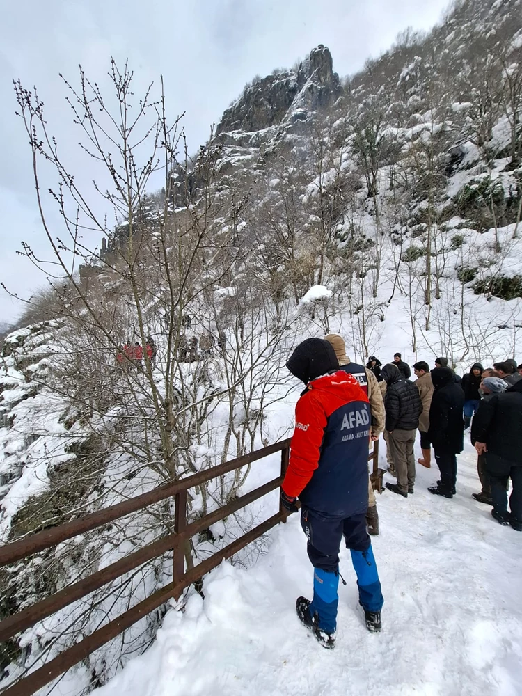 Ordu