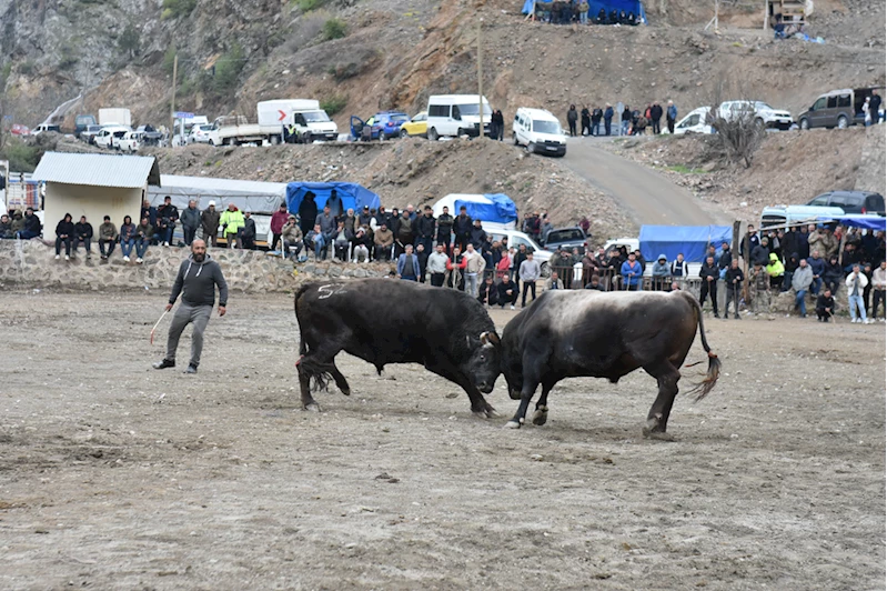 Artvin