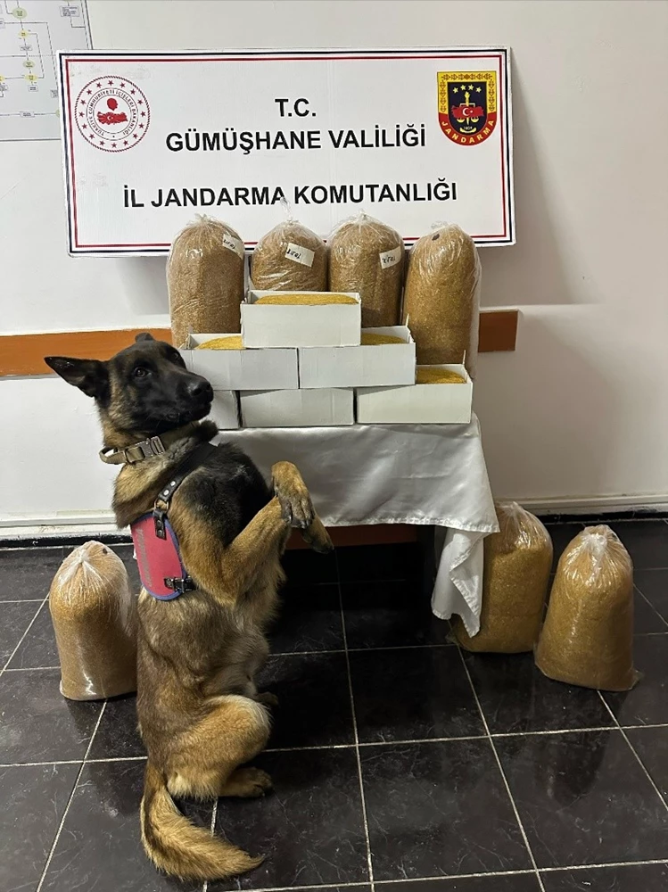 Gümüşhane