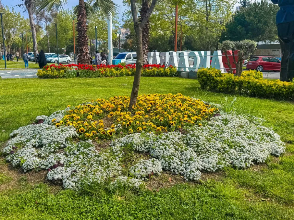AKÇAABAT ÇİÇEKLENDİ