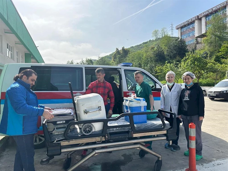 Giresun