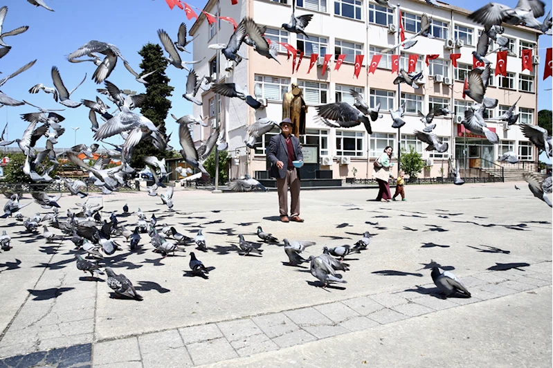 Karadenizli ihtiyar delikanlı, güvercinleri beslemeyi bir gün bile aksatmıyor