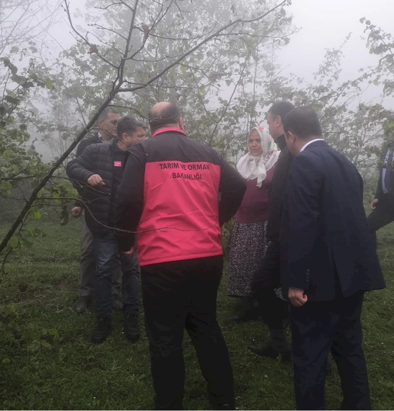 Giresun