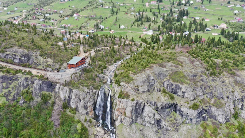 Akarsuları canlanan Sis Dağı Yaylası çiçeklerle renklendi