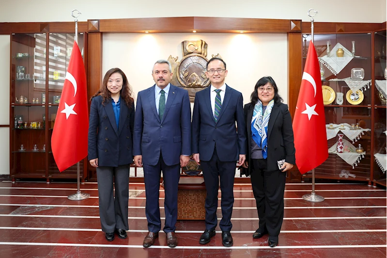 Çin