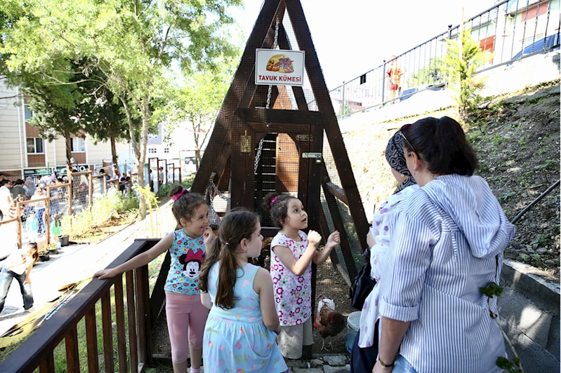 Giresun