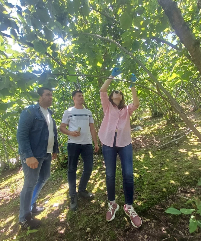 Yağlıdere