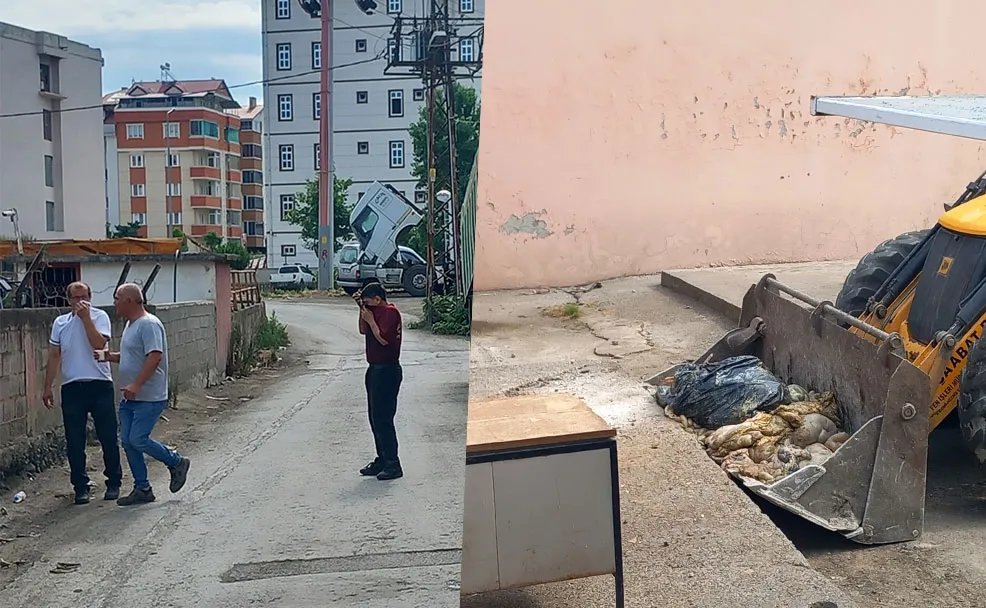 KOKU O KADAR KÖTÜ Kİ…