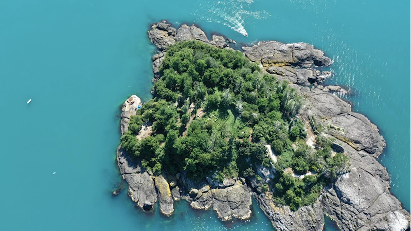 Giresun Adası