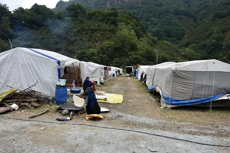 Mevsimlik tarım işçileri fındık hasadı için Ordu