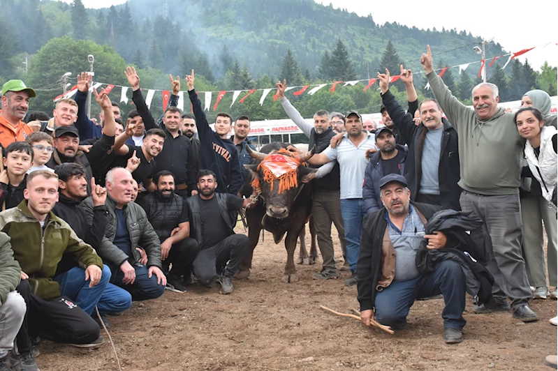 Artvin
