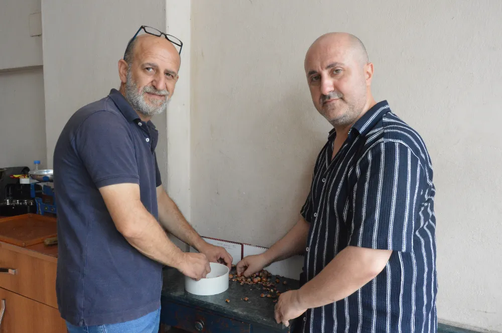 FINDIK 250 LİRA!