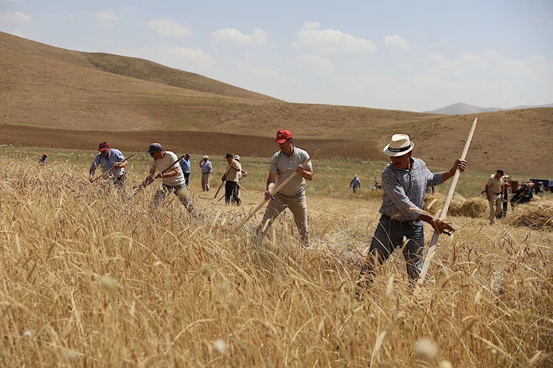 Bayburt
