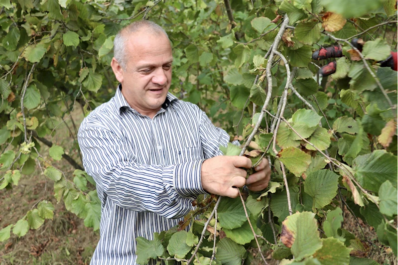 Trabzon ve Giresun