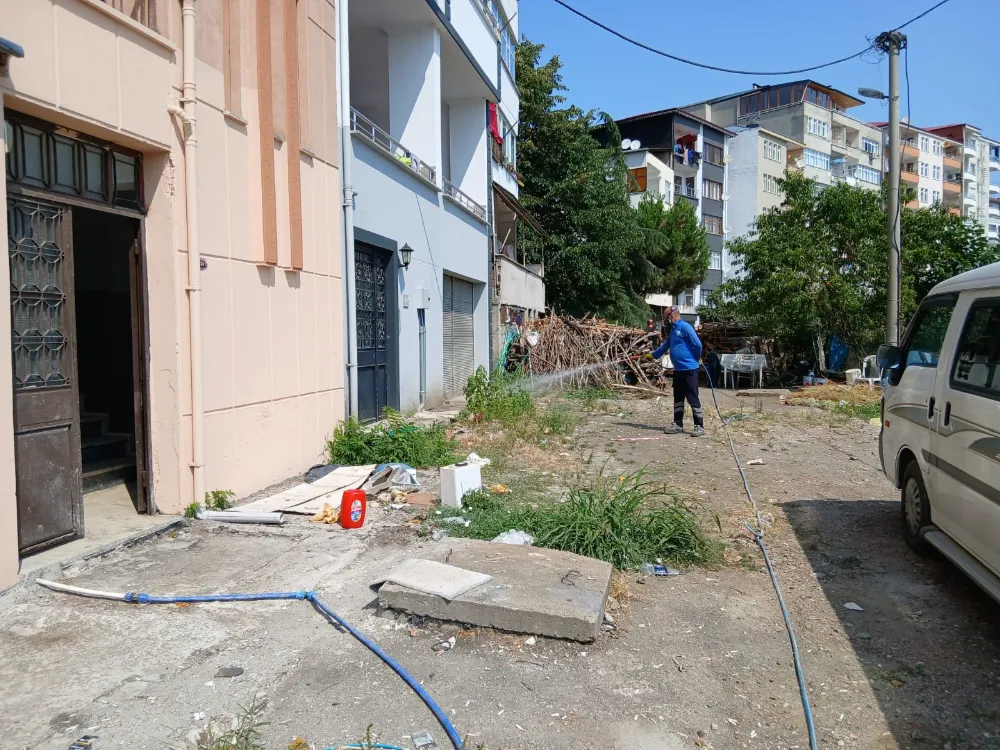VEKTÖR SEFERBERLİĞİ