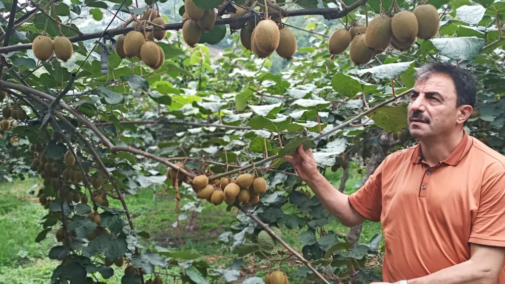 ÜRETİCİLERE HASAT VE BAKIM UYARISI