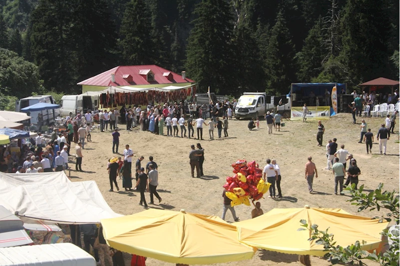 Güce