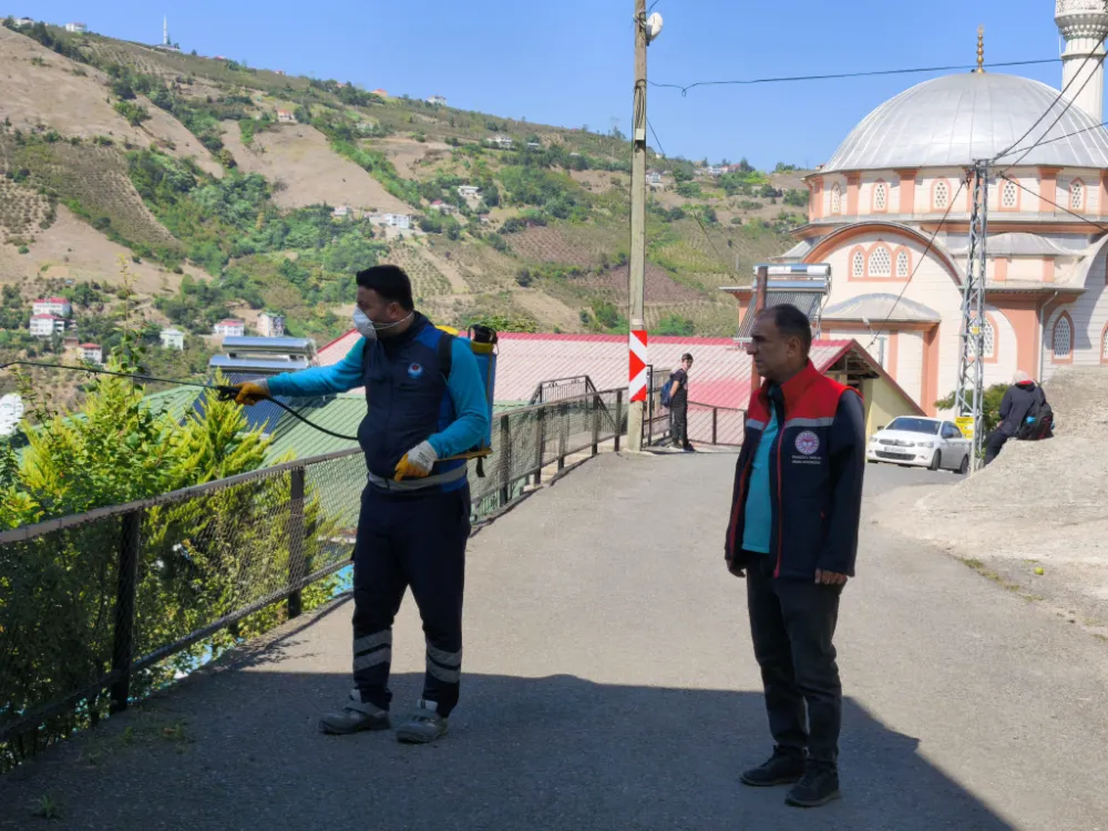 AKÇAABAT MAHALLE MAHALLE İLAÇLANIYOR