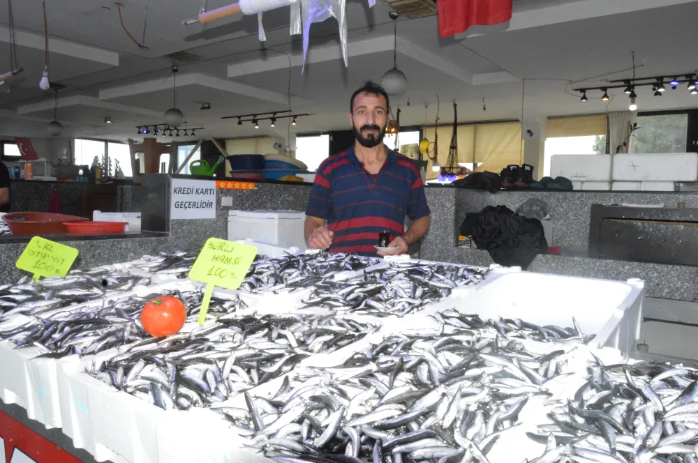 AKÇAABAT’TA HAMSİ BOLLUĞU