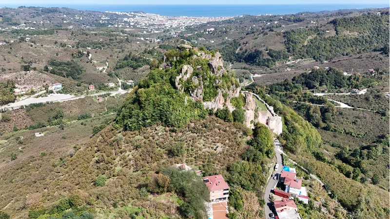 Ordu