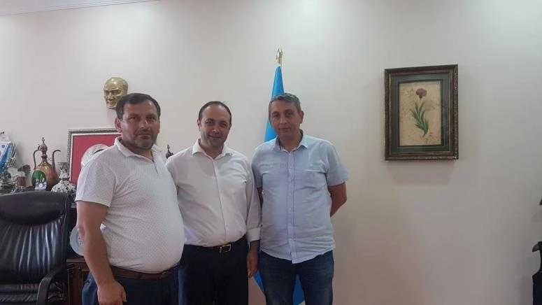 Sağlık için orman
