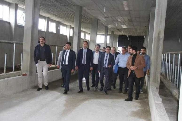 Çavuşoğlu Hayvancılık  Darıca’da faaliyette