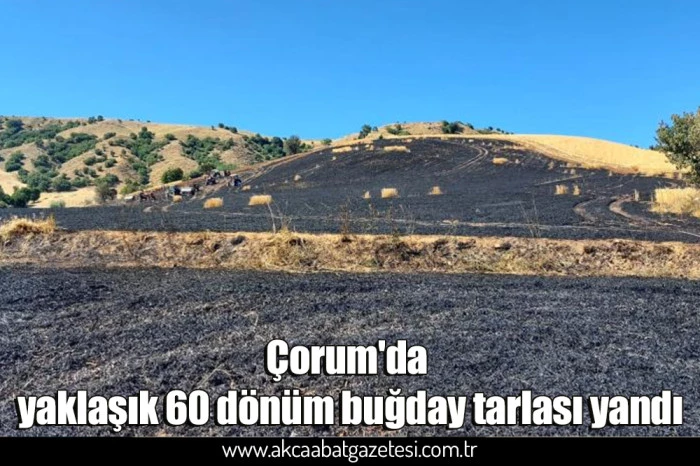 Çorum