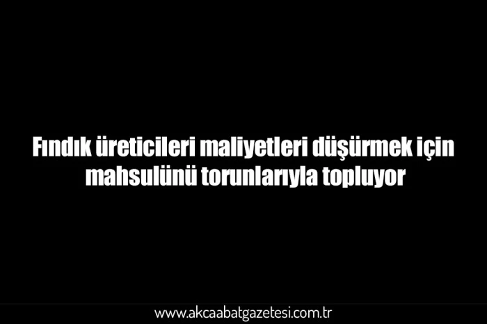 Fındık üreticileri maliyetleri düşürmek için mahsulünü torunlarıyla topluyor