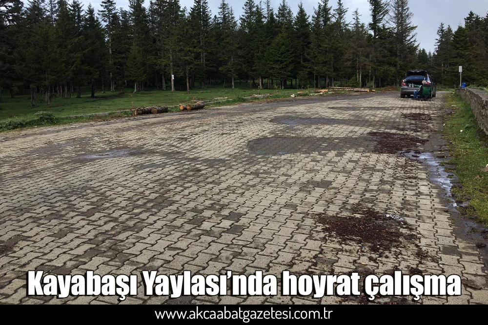 Kayabaşı Yaylası’nda hoyrat çalışma