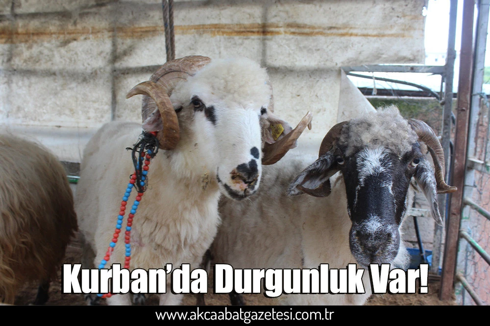 Kurban’da Durgunluk Var!