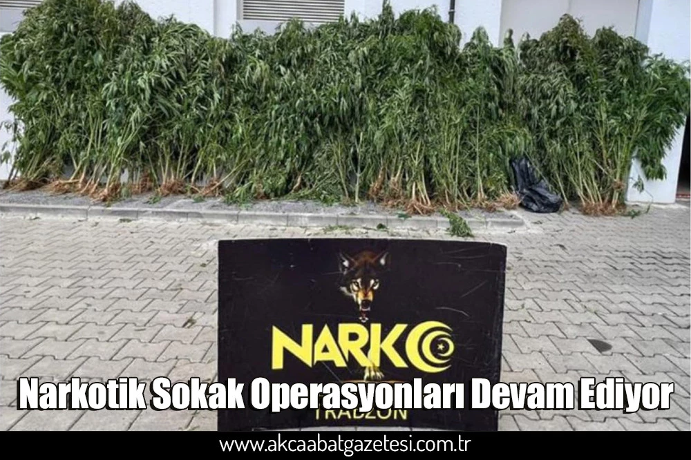 Narkotik Sokak Operasyonları Devam Ediyor