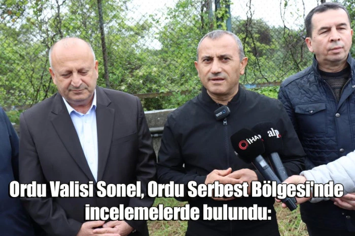 Ordu Valisi Sonel, Ordu Serbest Bölgesi